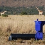 EarthAuger for giraffes