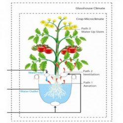 Phytoponics | Engineering For Change