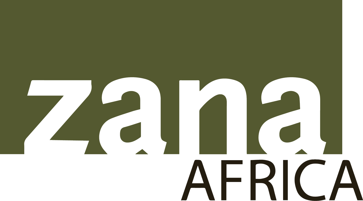 Zana Africa | Engineering For Change